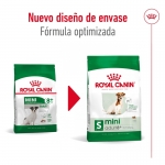 Mini Adulto +8 Años (1)