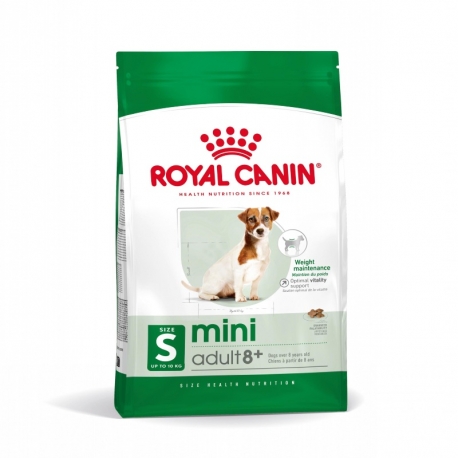 Mini Adulto +8 Años (1)
