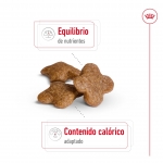 Mini Adulto +8 Años (1)