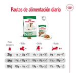 Mini Adulto +8 Años (1)