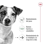 Royal Canin-Mini Ageing +12 Razas Pequeñas (1)