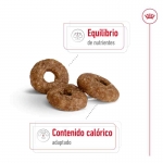Royal Canin-Mini Ageing +12 Razas Pequeñas (1)