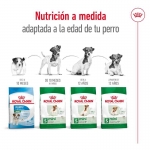 Royal Canin-Mini Ageing +12 Razas Pequeñas (1)