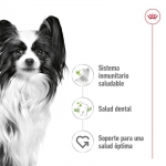 Royal Canin-X-Small Adulto Razas Miniaturas (1)