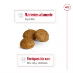 Royal Canin-X-Small Adulto Razas Miniaturas (1)