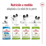 Royal Canin-X-Small Adulto Razas Miniaturas (1)