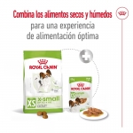 Royal Canin-X-Small Adulto Razas Miniaturas (1)