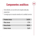 Royal Canin-X-Small Adulto Razas Miniaturas (1)