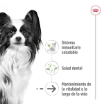 Royal Canin-X-Small Ageing +12 Razas Miniaturas (1)