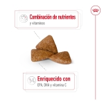 Royal Canin-X-Small Ageing +12 Razas Miniaturas (1)