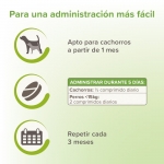 Beaphar VERMIpure comprimidos naturales parásitos internos para perros pequeños