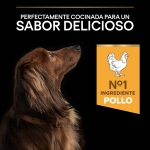 Purina Pro Plan-Duo Delice Mini Pollo (1)