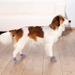Trixie Calcetines Antideslizantes para perros color gris