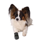 Trixie 2 Botas para perros protección color negro