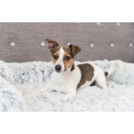 Trixie Protector para cama Harvey color Blanco-Negro