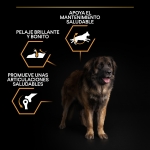 OptiHealth Adulto Robusto Razas Grandes (6)