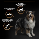 PRO PLAN MEDIUM Pienso con Pollo para Perros