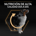PRO PLAN MEDIUM Pienso con Pollo para Perros