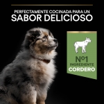 PRO PLAN PUPPY MEDIUM Pienso con Cordero para Cachorros