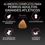 Purina Pro Plan-OptiDerma Adulto Large Athletic Sensitive Skin (1)