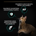 Purina Pro Plan-Adulto Pollo (1)