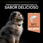 OptiDerma Cachorro Razas Medianas Piel Sensible (1)