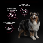 OptiDerma Adulto Razas Medianas Piel Sensible