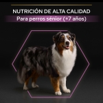 OptiAge Adulto Grande y Mediano 7+