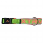 Nayeco Collar para perros X-TRM Neon Flash Verde