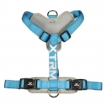 Nayeco Arnes para perros X-TRM Cronos Neon Flash Azul