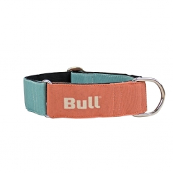 Bull Dog Collar Galgo Naranja-Turquesa