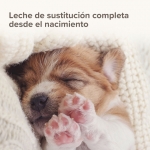 Beaphar Lactol Puppy Milk Leche en Polvo para Cachorros