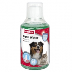 Beaphar Bucal Water Enjuegue Bucal para Perros y Gatos 250 ml