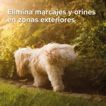 Beaphar Gel Educador Exterior para Perros y Gatos 480gr