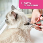 Beaphar CatComfort Collar para Gatos 35 cm