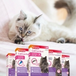 Beaphar CatComfort 3 Pipetas para Gatos