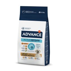 Affinity Advance-Labrador Adulto (1)