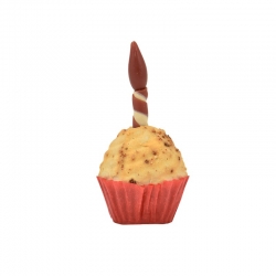 Nayeco Snack Cupcacke Party para Perros 65 gr