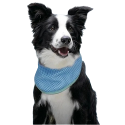 Freedog Bandana Refrescante para Perros