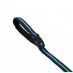 Freedog Correa Deportiva para Perros Color Turquesa