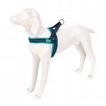 Freedog Arnés Deportivo para Perros Color Turquesa