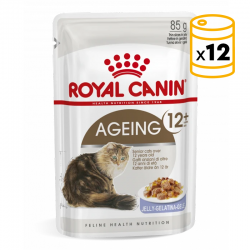 Royal Canin-Aeging +12 Pouch ( Jelly) 85 gr (1)