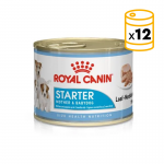Royal Canin-Starter Mousse Gestación/Lactancia (1)