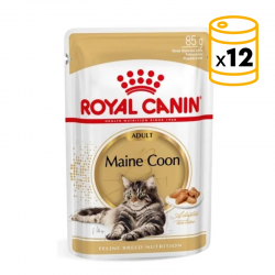 Royal Canin-Maine Coon Pouch (1)