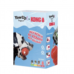 Kit Refrescatnte para Perros Yogurt Helados Yow Up + Kong
