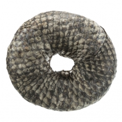 Trixie Dentafun Anillo Masticable para Perros con Pescado