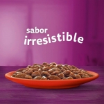Whiskas Multipack Comida húmeda en Salsa para Gatos Selección de Carnes