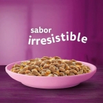 Whiskas Junior Pure Delight Comida húmeda en Gelatina para Gatitos Selección Aves
