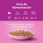 Whiskas Junior Pure Delight Comida húmeda en Gelatina para Gatitos Selección Aves