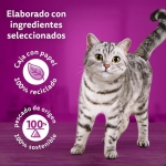 Whiskas Tasty Mix Colección County Comida húmeda en Salsa para Gatos